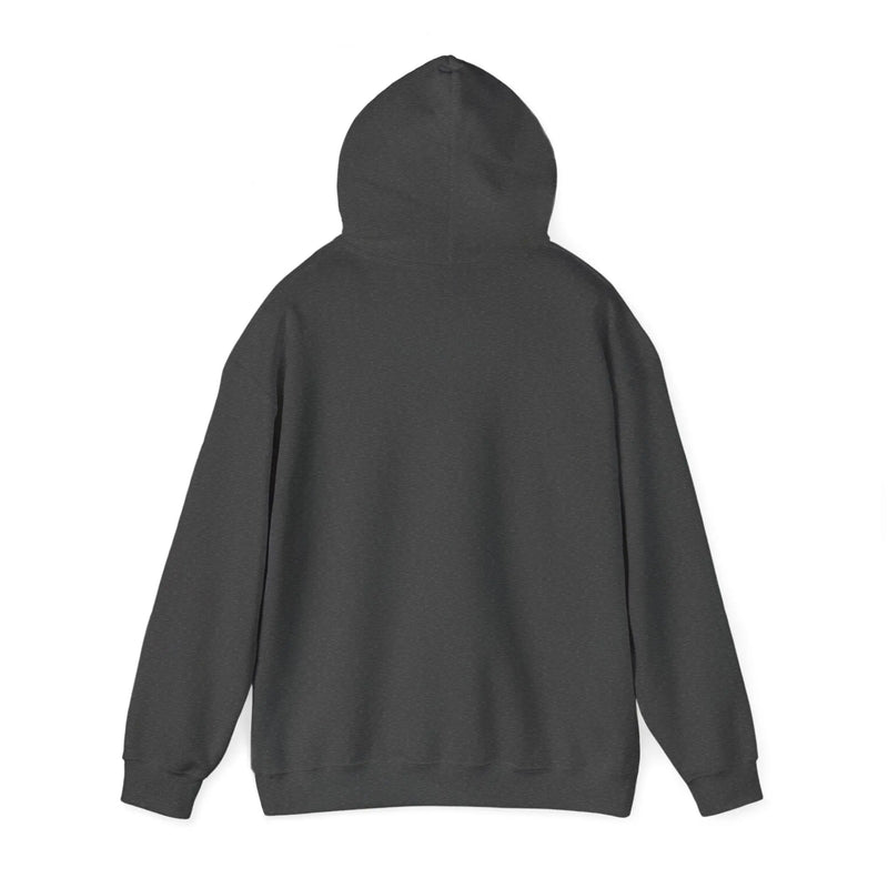 AYZO 2.0 Unisex Heavy Blend™ Hooded Sweatshirt Printify