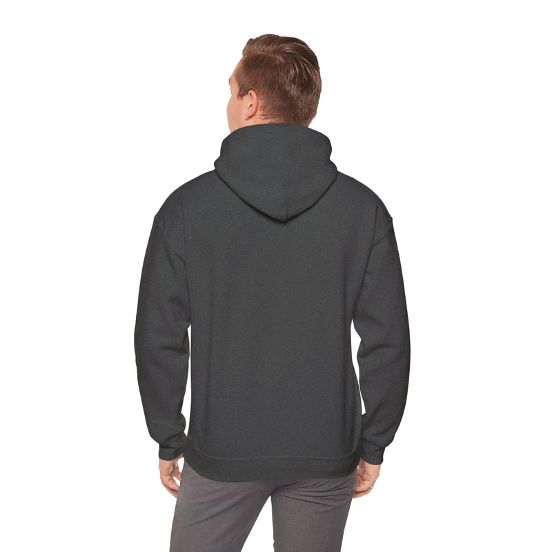 AYZO 2.0 Unisex Heavy Blend™ Hooded Sweatshirt Printify